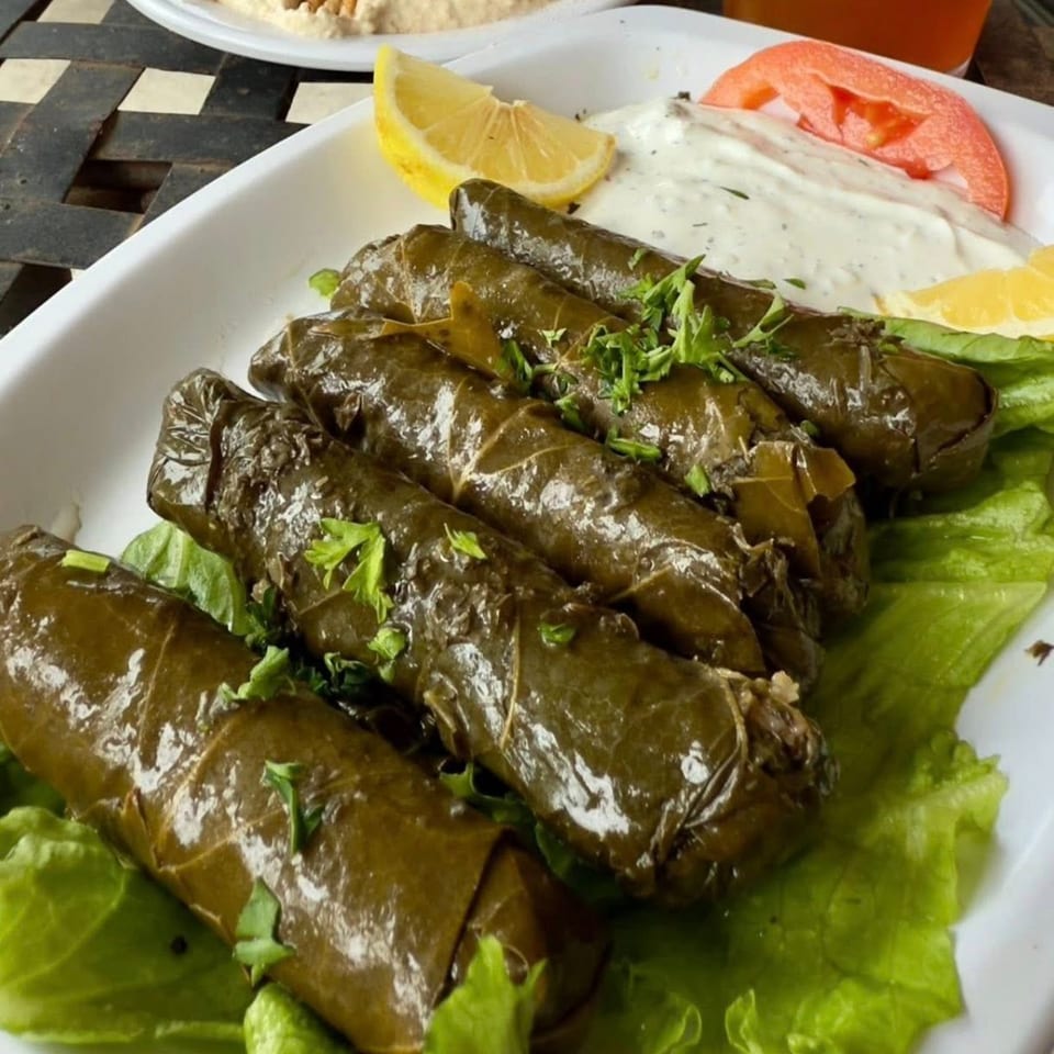 Lebanese stuffed grape leaves (dolmades) with lemon, tomato, and yogurt sauce on a white plate.